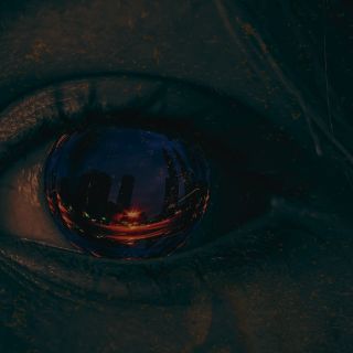 The eyes