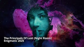 2025 The Principles of Lust Night Room